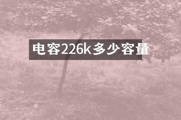 电容226k多少容量