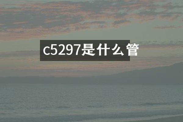 c5297是什么管