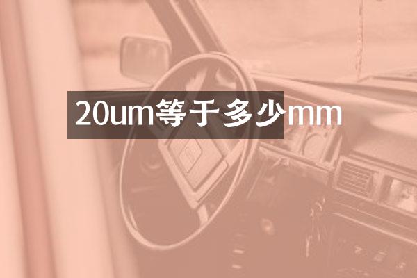 20um等于多少mm
