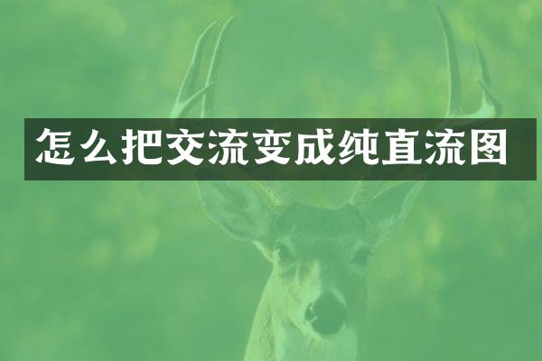 怎么把交流变成纯直流图