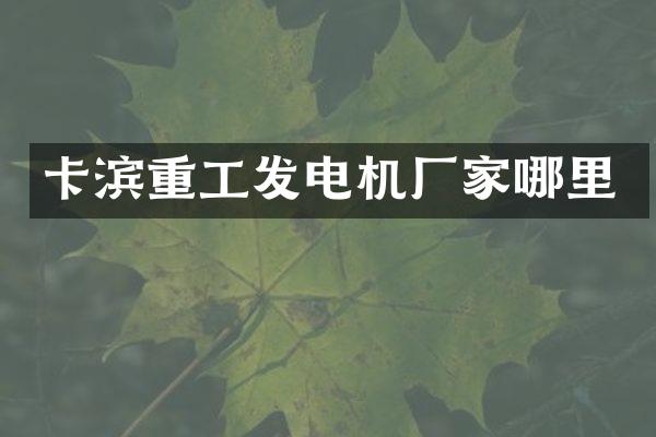 卡滨重工发电机厂家哪里
