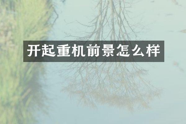 开起重机前景怎么样
