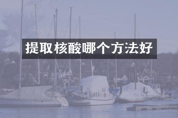 提取核酸哪个方法好