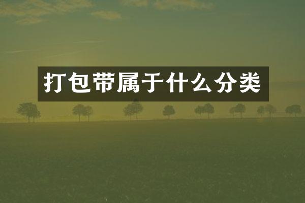 打包带属于什么分类