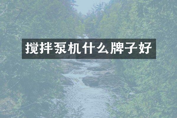搅拌泵机什么牌子好