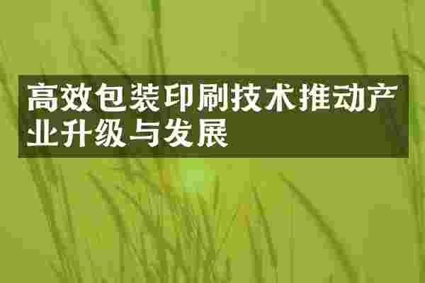 高效包装印刷技术推动产业升级与发展