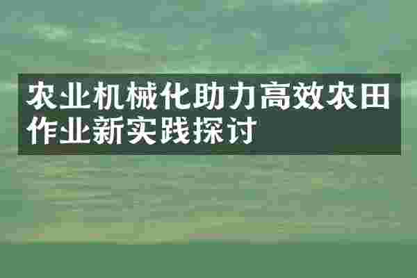 农业机械化助力高效农田作业新实践探讨