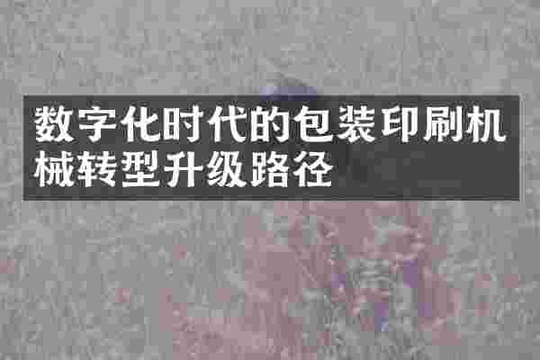 数字化时代的包装印刷机械转型升级路径