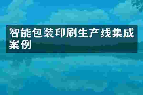 智能包装印刷生产线集成案例