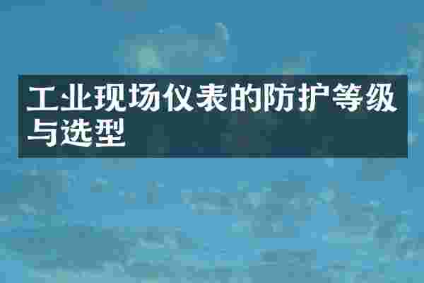 工业现场仪表的防护等级与选型